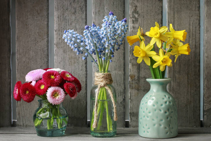 Bouquets in vases