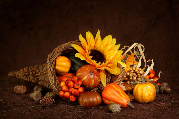 Pumpkins and berries