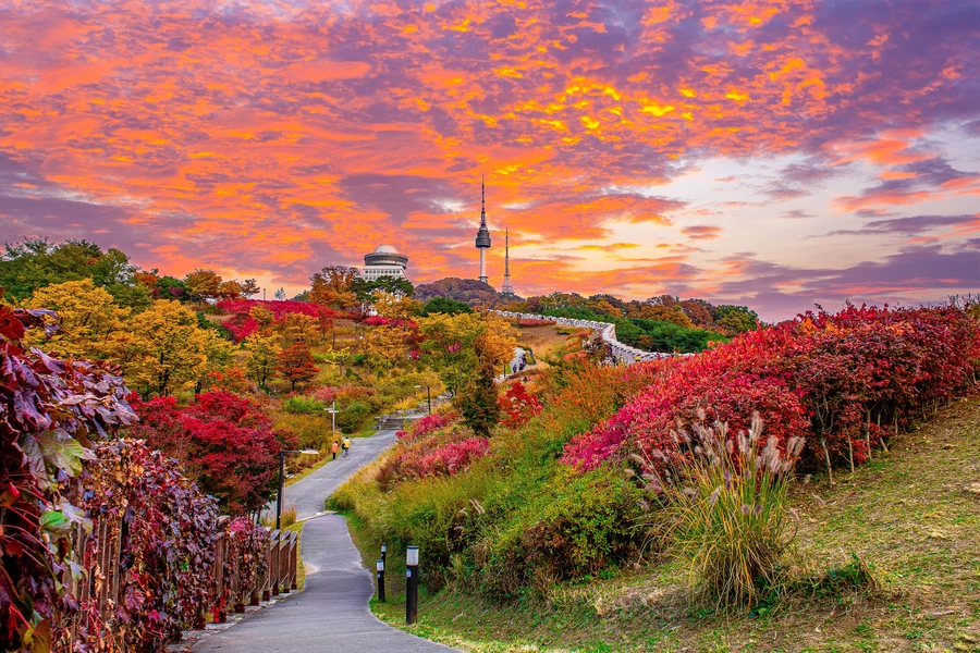 Uitzicht op de N Seoul Tower