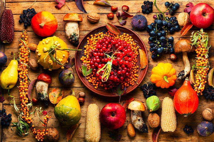 Autumn vegetables and berries