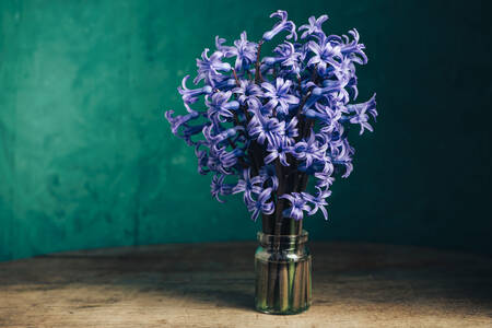 Jacinthes violettes dans un vase