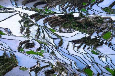 Terraços de arroz com reflexo no céu