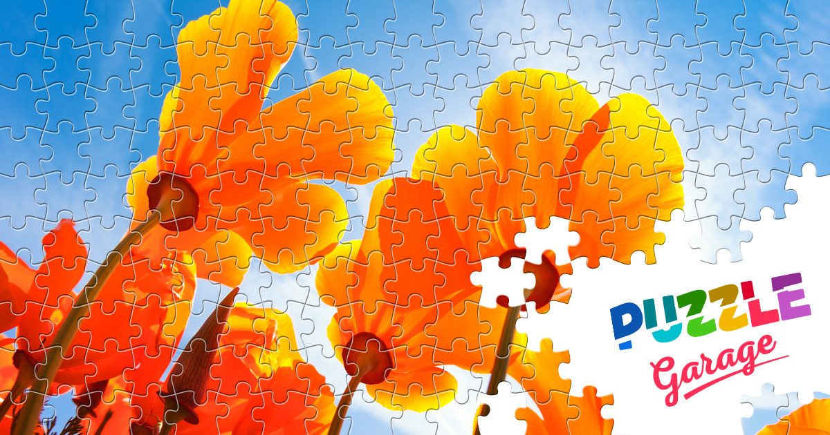 Spring flowers Jigsaw Puzzle (Plants, Flowers) | Puzzle Garage