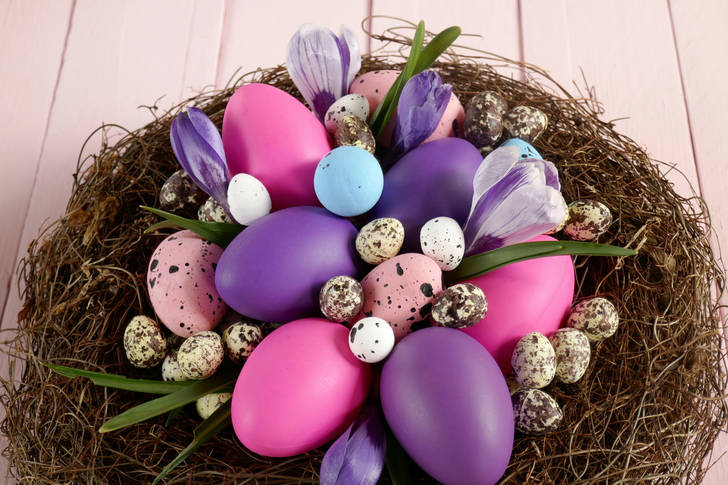 Easter eggs in a nest with crocuses