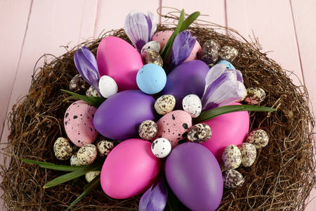 Oeufs de Pâques dans un nid avec des crocus