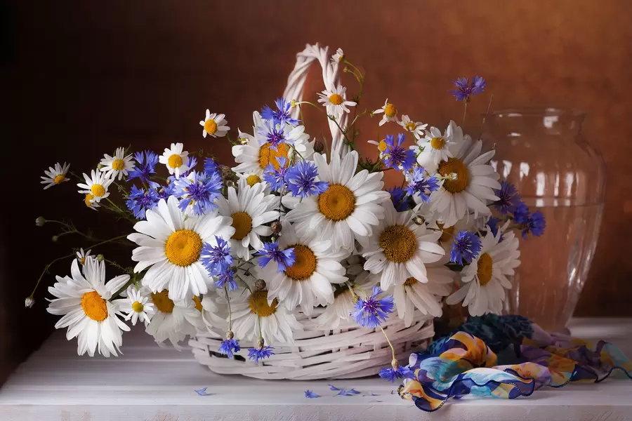 Camomila e flores em uma cesta
