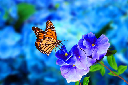 Mavi çiçekler üzerinde kelebek