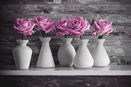 Roses dans des vases