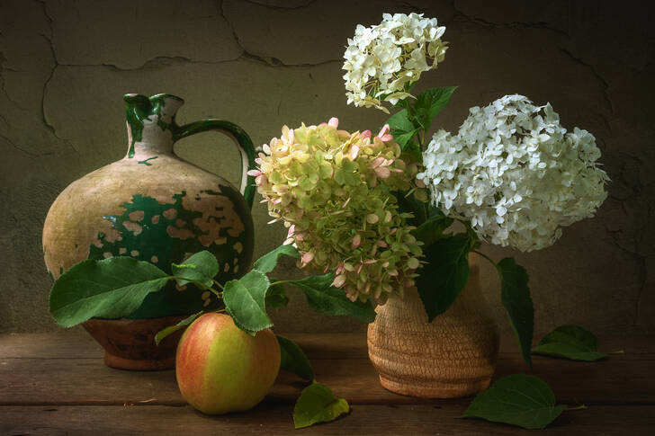 Flores de hortênsia em um vaso