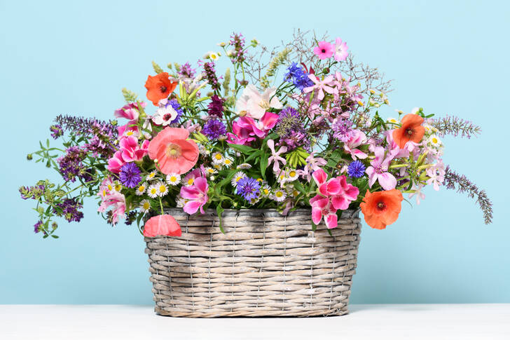 Flores en una cesta de mimbre