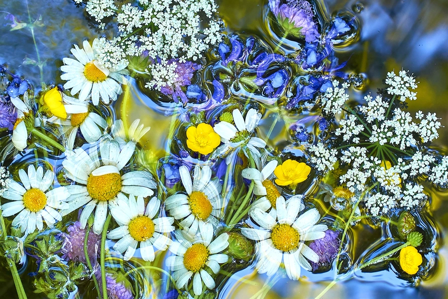 Boeket zomerbloemen