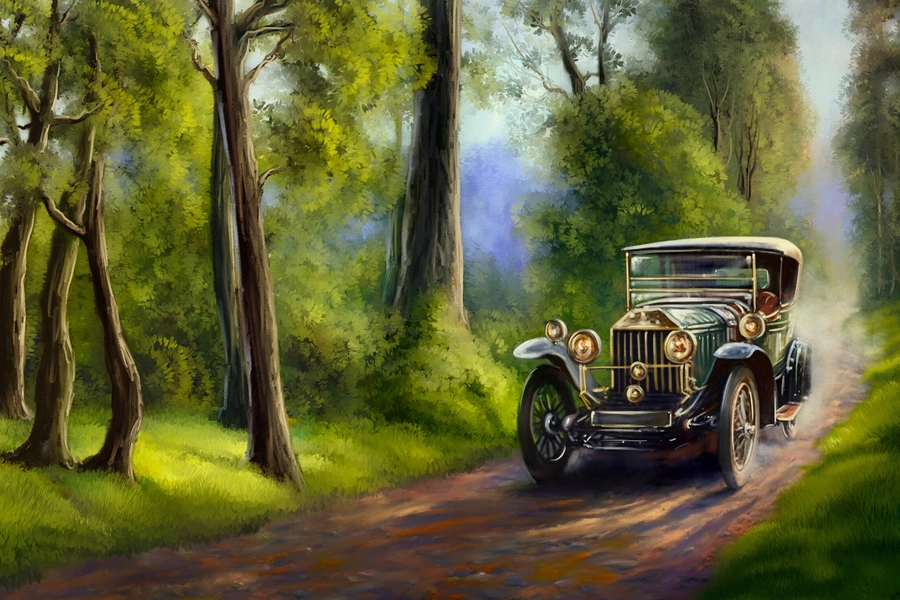 Auto in het bos