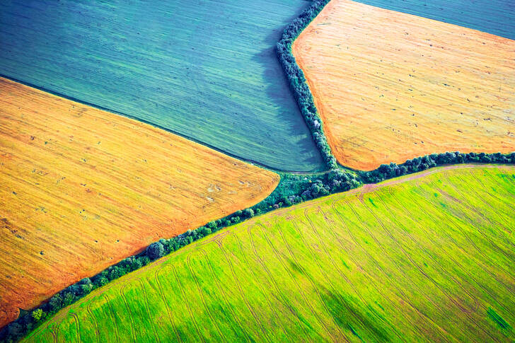 Fields of rapeseed, wheat, and soy