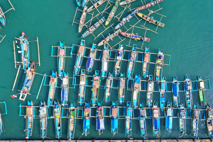 Top view of fishing canoes