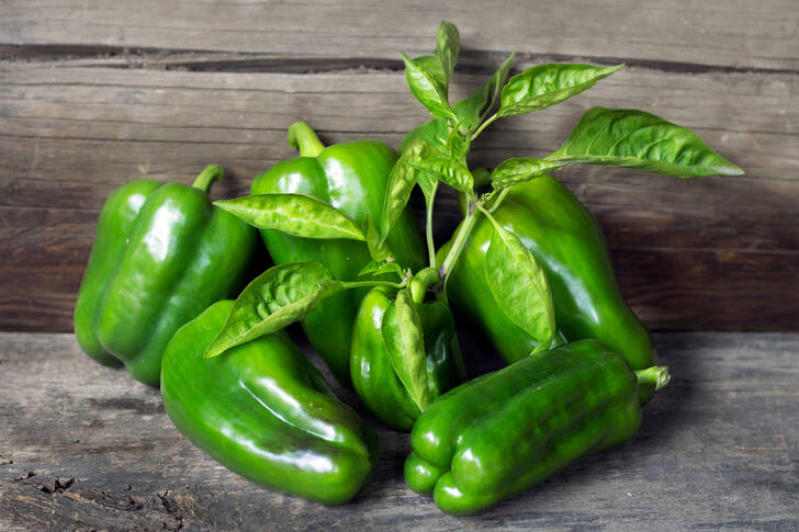 Groene paprika's op een houten tafel