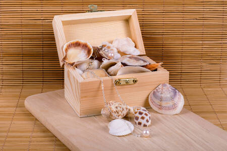 조개가 들어 있는 나무 상자