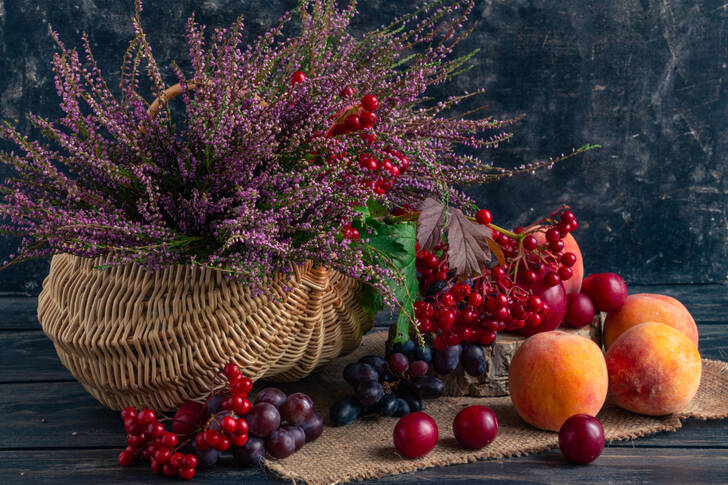 Coș cu iarbă neagră și fructe de viburnum