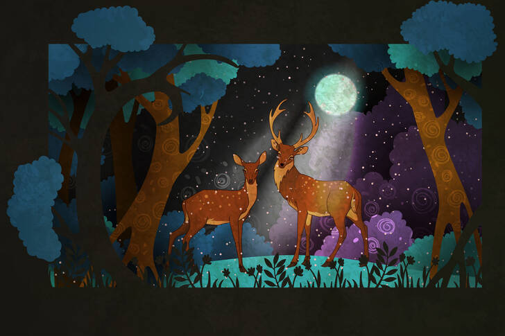 Jelen v nočním lese