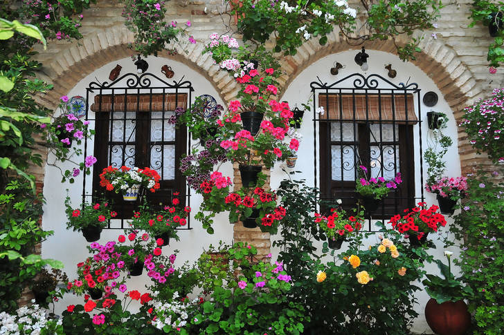 Façade de maison en fleurs et pots de fleurs