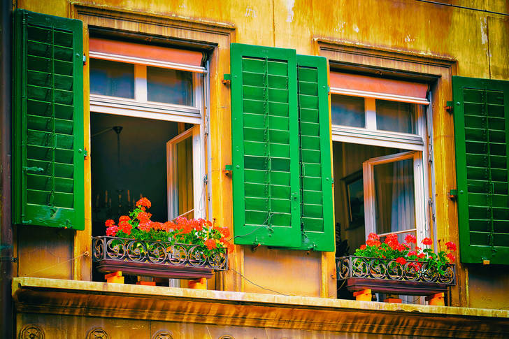 Windows with green shutters