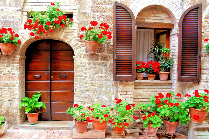 House facade with bright flowers in pots
