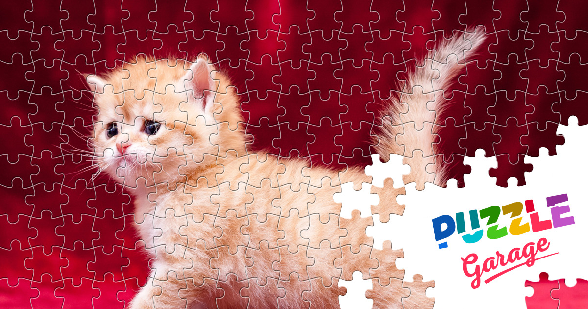 Ginger kitten on red satin Jigsaw Puzzle (Animals, Pets) | Puzzle Garage