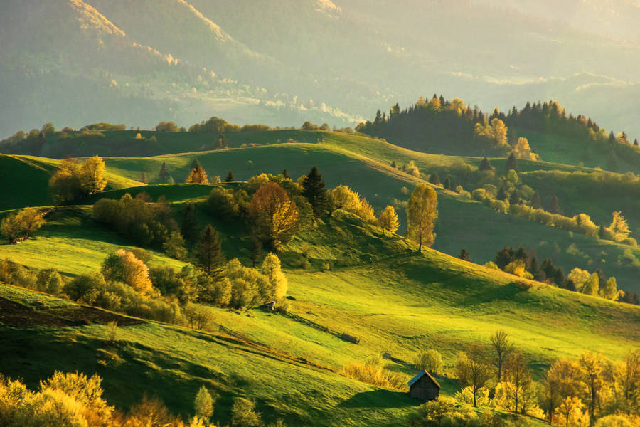 Nowe Puzzle Puzzle Garage (Strona 841)