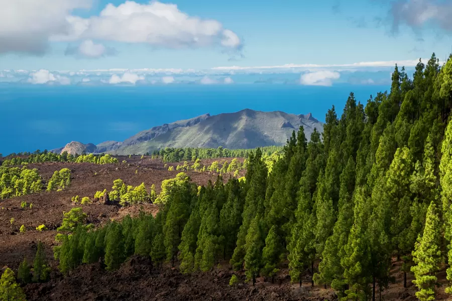 Nationaal Park Teide