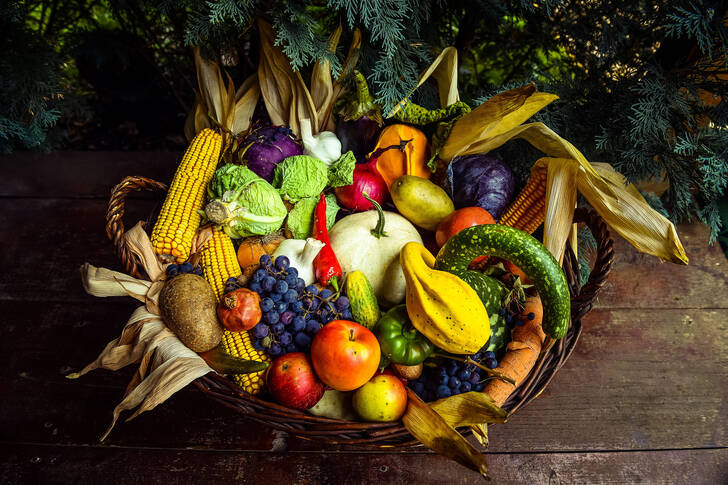 Fruits and vegetables in a basket