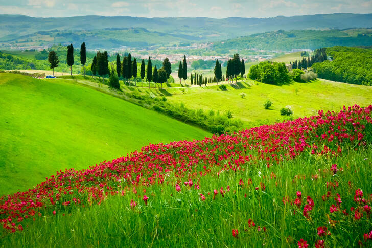 Красивые холмы Тосканы