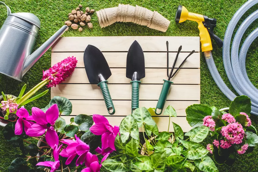 Attrezzatura da giardino