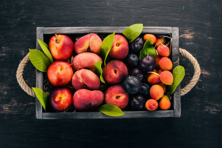 Плодове в дървена кутия