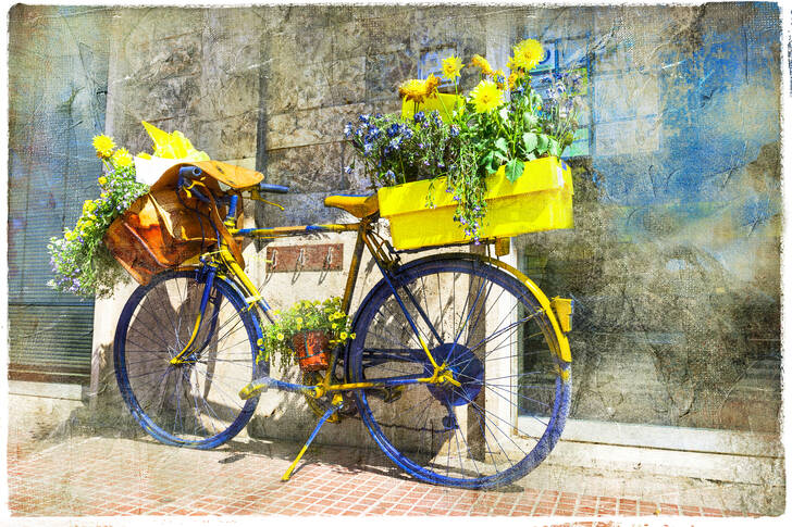 Cykel med blommor