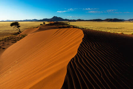 Sand dunes in Namibia