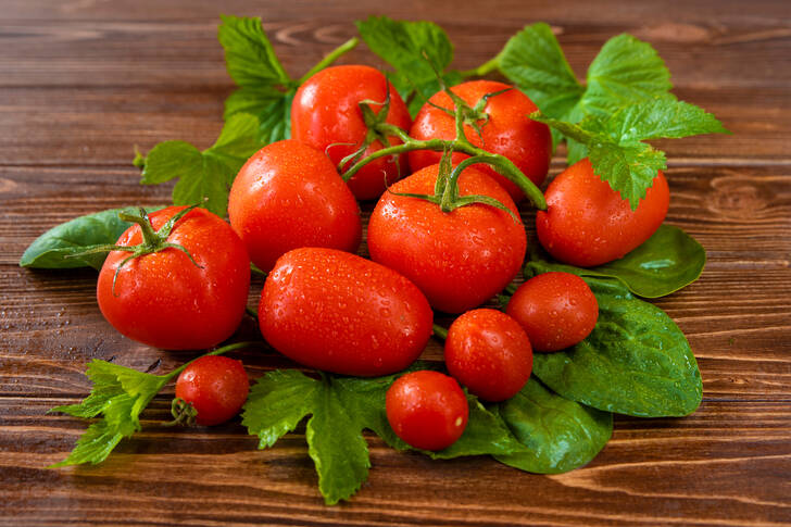 Pomidory na liściach
