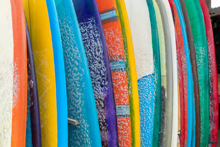 Pranchas de surf