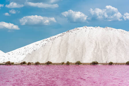 Kilátás az Aigues-Mortes-i sós mocsarakra