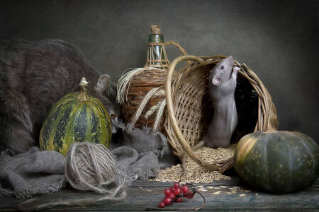 Rata gris en una cesta