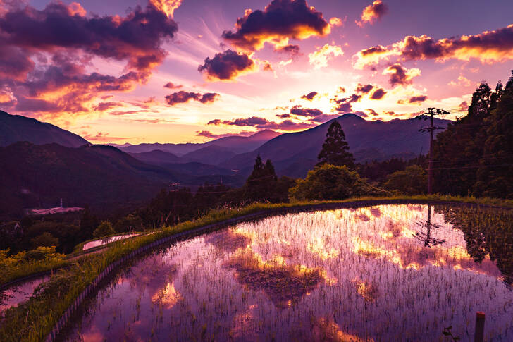 Rice terraces in Maruyama