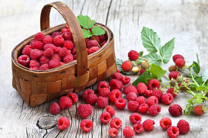 Raspberries in a basket