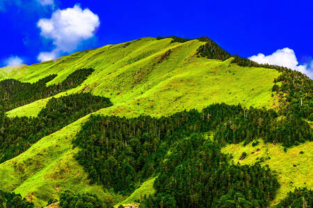 Puncak hijau gunung Hehuan