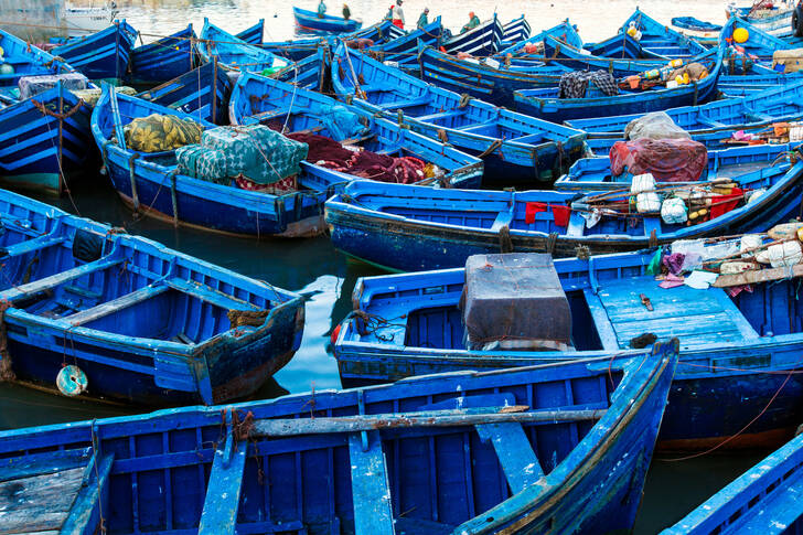Blue fishing boats