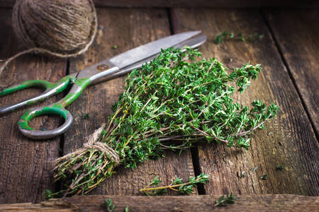 A bunch of thyme on a wooden table