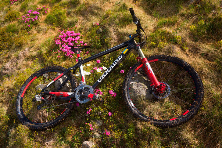 Mountain bike on grass