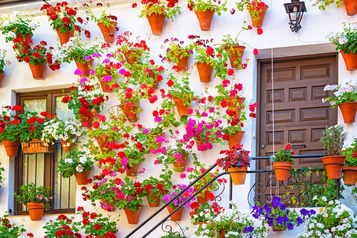 Fasáda domu s květinami v Cordobě