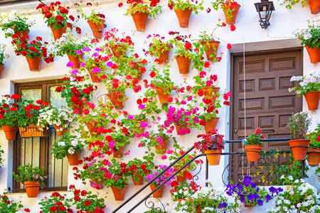 Fasad av ett hus med blommor i Cordoba