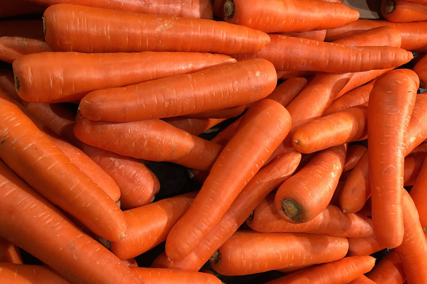 Carrot jigsaw puzzle plants vegetables puzzle garage