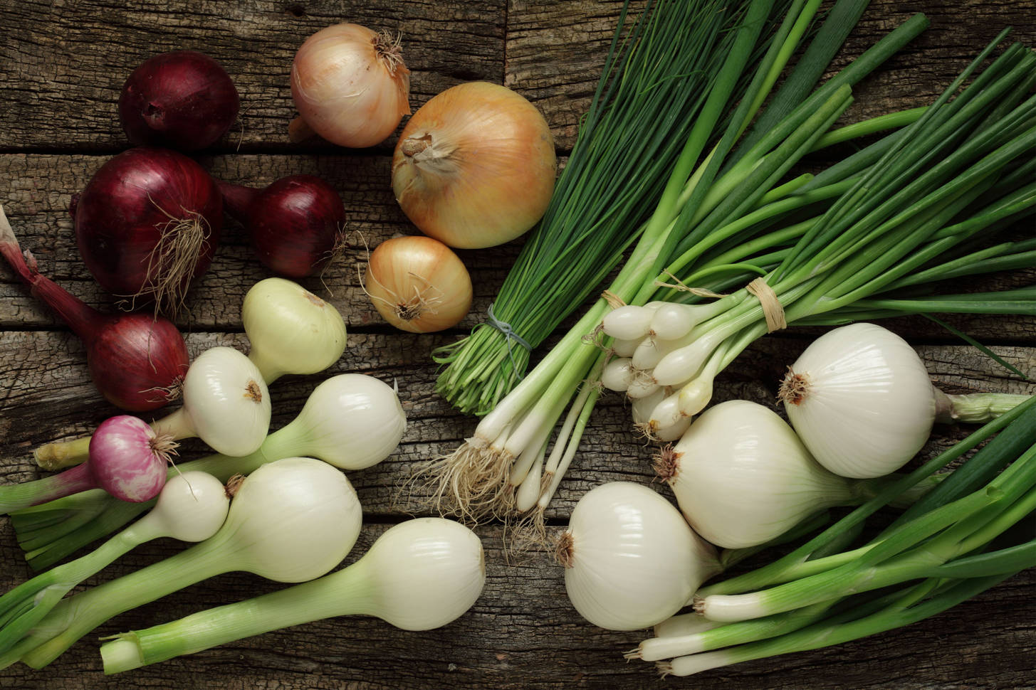 Variety of onion varieties Jigsaw Puzzle (Plants, Vegetables) Puzzle