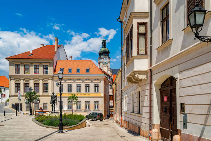 The historic center of Gyor