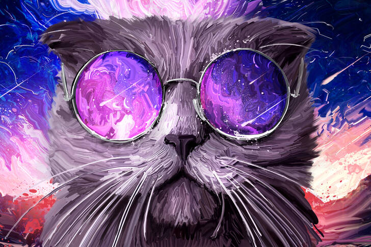 Kočka s kulatými brýlemi